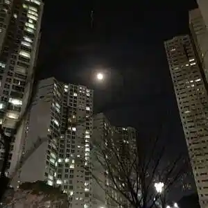 Picture for song 'Talk' by artist 'Bazzan'