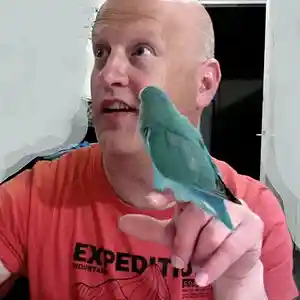 Picture for song 'NoGo' by artist 'Luuk de Greef'