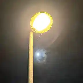 Picture for song 'Wu Guitar' by artist 'prod. by TM'