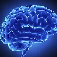 Picture for song 'Cerebral Coherency Diminished (B Mix)' by artist 'XL73'