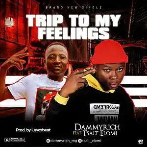 Picture for song 'Dammyrich - Trip To My Feelings Feat. Tsalt Elomi' by artist 'Adexco'