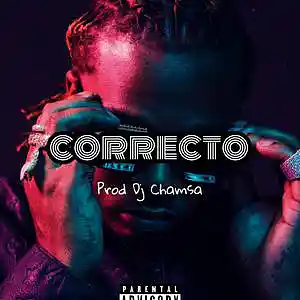 Picture for song 'DJ Chamssa_Correcto' by artist 'DJ Chamssa Beats'