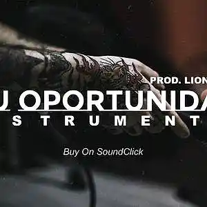 Picture for song '"Tu Oportunidad" - Type Beat Guitar Hip Hop' by artist 'Prod.LionBeats'