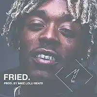 Picture for song 'Lil Uzi Vert Type Beat - Fried' by artist 'Mike Lolli Beats'