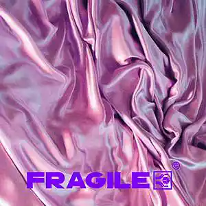 Picture for song 'HEALTH -LIL KEED, FRANK OCEAN, LIL TECCA TYPE BEAT' by artist 'Prod By Fragile'