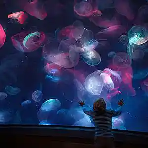 Picture for song 'Ocean Warp Gate' by artist 'Set to Loop'