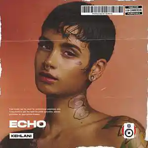 Picture for song 'Echo (Buy 1 Get 2 Free)' by artist 'Shiryai'