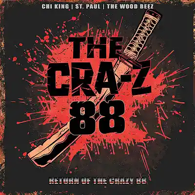 Picture for song 'Paper Mache Mind Crime' by artist 'The WoodBeez'