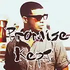 Picture for song 'Promise Kept' by artist 'Jairtheshadow'