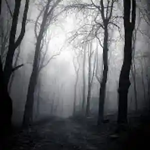Picture for song 'The Deepest Hollow Instrumental' by artist 'JOLS CONTRL'