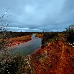 Picture for song 'Red Headed Stranger: Salt Fork Sessions' by artist 'paul gorman and the hypnotist collectors'
