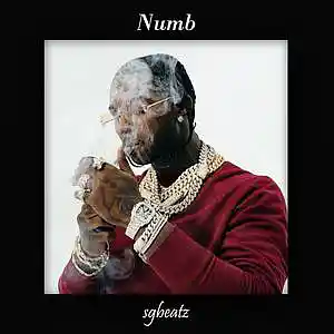 Picture for song 'Numb - Pop Smoke x ArrDee Type Beat 2023' by artist 'SG Beatz'
