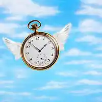 Picture for song 'Time Flies (Produced by Prodigy)' by artist 'Produced by Prodigy'