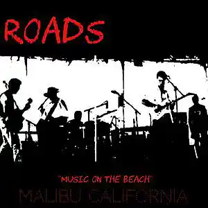 Picture for song 'House Is Fallin' by artist 'Roads The Band and Co.'