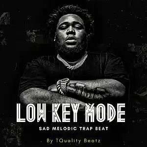 Picture for song 'Low Key Mode (SOLD)' by artist 'T-Quality Beatz'