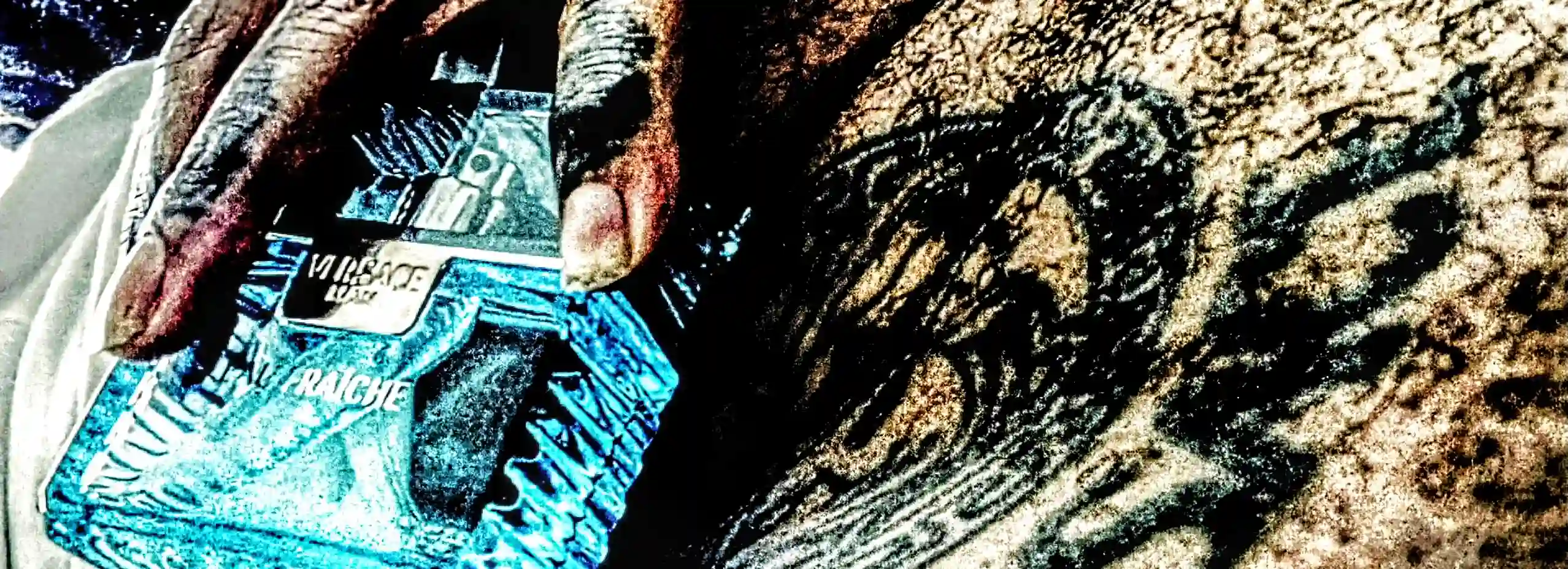 cover pic