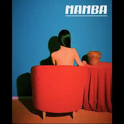 Picture for song 'Mamba / Afrobeat x Latino Type Beat' by artist 'Fourkara the Producer'