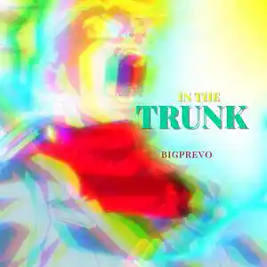Picture for song 'In The Trunk' by artist 'BIGPREVO'