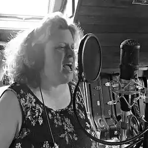 Picture for song 'Heather Ann Shepard - Dangerous Type' by artist 'TROLL FARM STUDIOS'