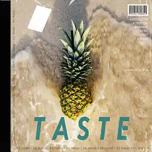 Picture for song 'T A S T E' by artist 'PJL Tracks'
