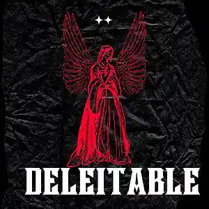 Picture for song 'deleitable (instrumental)' by artist 'Skramhy'