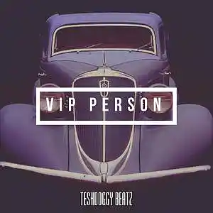 Picture for song 'vip person' by artist 'teshdoggy beatz'