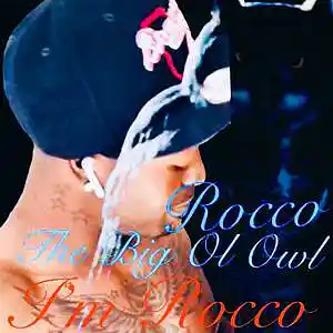Picture for song 'IM ROCCO FROM CINCINNATI' by artist 'THE BIG OL OWL'