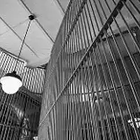 Picture for song 'I Fought The Law' by artist 'Tom Bower'