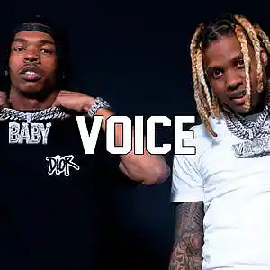 Picture for song 'Voice' by artist 'Trapper Beat'