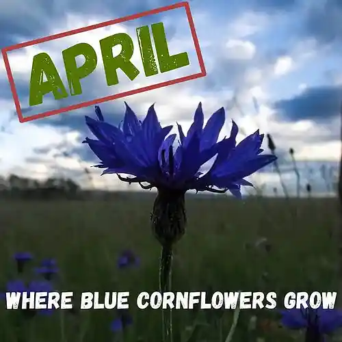 Picture for song 'Raising A Height' by artist 'April Songs'