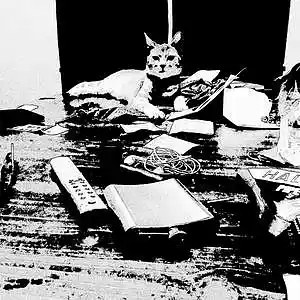 Picture for song '2 Good 2 B True' by artist 'Beat Masta Cheese'