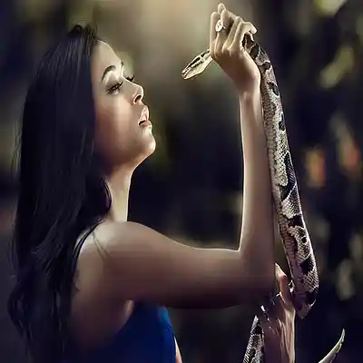 Song picture