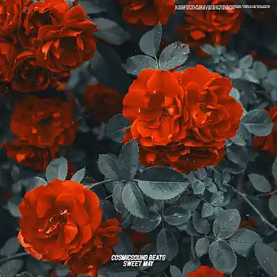 Picture for song 'Piano Type Beat - Sweet may, Rnb Type Beat' by artist 'COSMICSOUND BEATS'