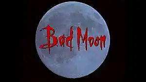 Picture for song 'Bad Moon Rising w Gibson B25 2024' by artist 'Dave Dunklee'