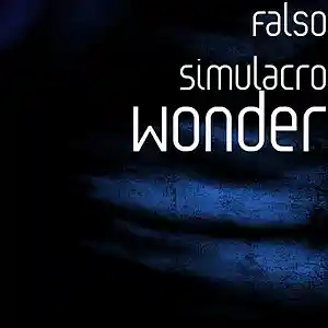 Picture for song 'Wonder' by artist 'Falso Simulacro'