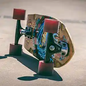Picture for song 'Heel Flip' by artist 'Johnny Gie'