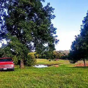 Picture for song 'Red Light: Red River Session' by artist 'paul gorman and the hypnotist collectors'