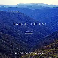 Picture for song 'Back In The Day' by artist 'CosaNostraTrippyy'