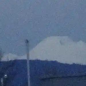 Picture for song 'The White Bass 1-6-23' by artist 'Warren Project'