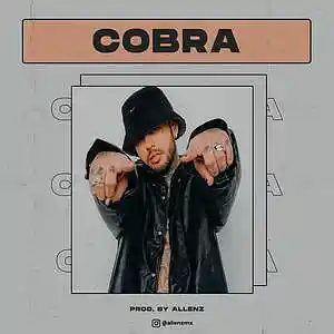 Picture for song 'DALEX TYPE BEAT - COBRA' by artist 'allenzmx'