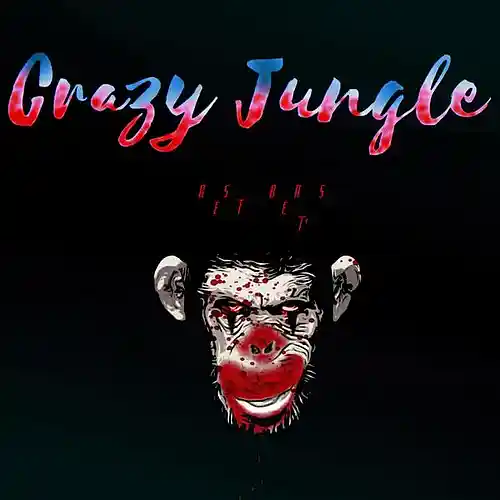 Picture for song 'Step in..' by artist 'CrazyJungle'