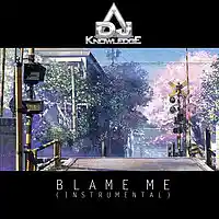 Picture for song 'DJ Knowledge - Blame Me' by artist 'DJ Knowledge 354'