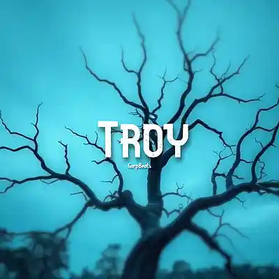 Picture for song 'Troy' by artist 'GorpBeats'