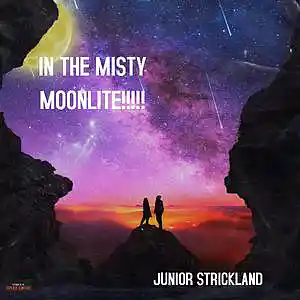 Picture for song 'MISTY MOONLITE' by artist 'JUNIOR STRICKLAND'