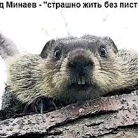 Picture for song 'it is terrible to live without gun' by artist 'Leonid Minaev'