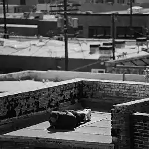 Picture for song 'N1 [1]' by artist 'Makiavelibeats'