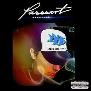 Picture for song 'Bleib Locker Und Entspannt (FUNKY VERSION)' by artist 'PASSWORT 13-8'