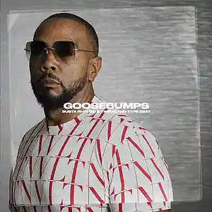 Picture for song '"Goosebumps" - Busta Rhymes & Timbaland type beat' by artist 'RICH MELLO'