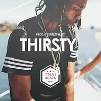 Picture for song 'Thrity - PartyNextDoor x Drake Type Beat ' by artist 'THAIBEATS'