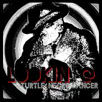 Picture for song 'Lookin @' by artist 'Turtle Necromancer'